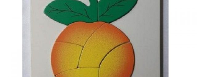 Tempat Jual Grosir Puzzle Kayu Buah Jeruk Murah
