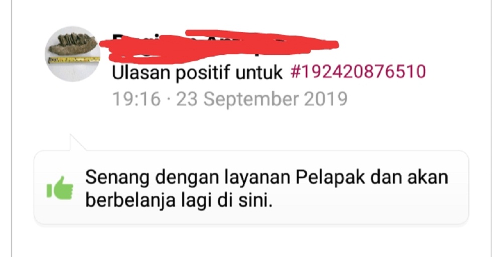 testimoni Jual Puzzle Kayu Murah