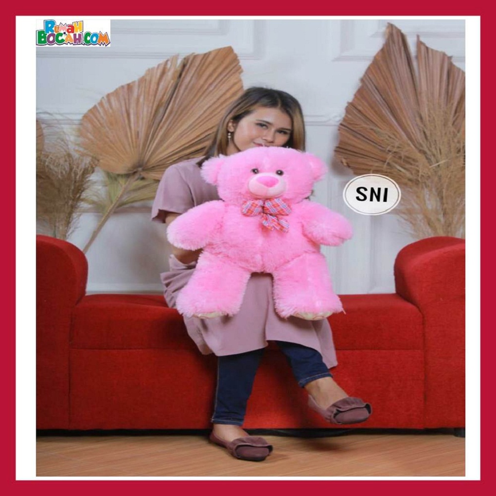 Mainan Kado Ulang Tahun Anak Sahabat Pacar Remaja Perempuan Cewek Boneka Teddy Bear Beruang Comic Pink-min